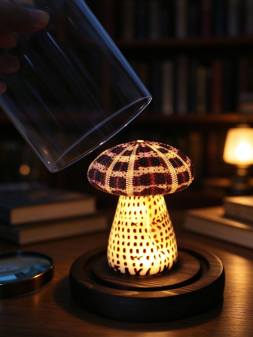 DIY Mushroom Night Light Kit Conch Shell Sea Urchin Desk Lamp Gift