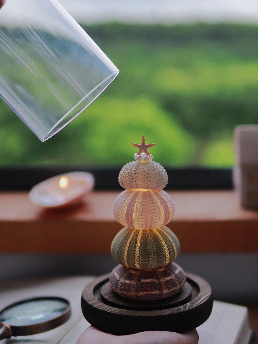 DIY Sea Urchin Lamp Kit Glass Dome Ocean Desk Night Light Gift