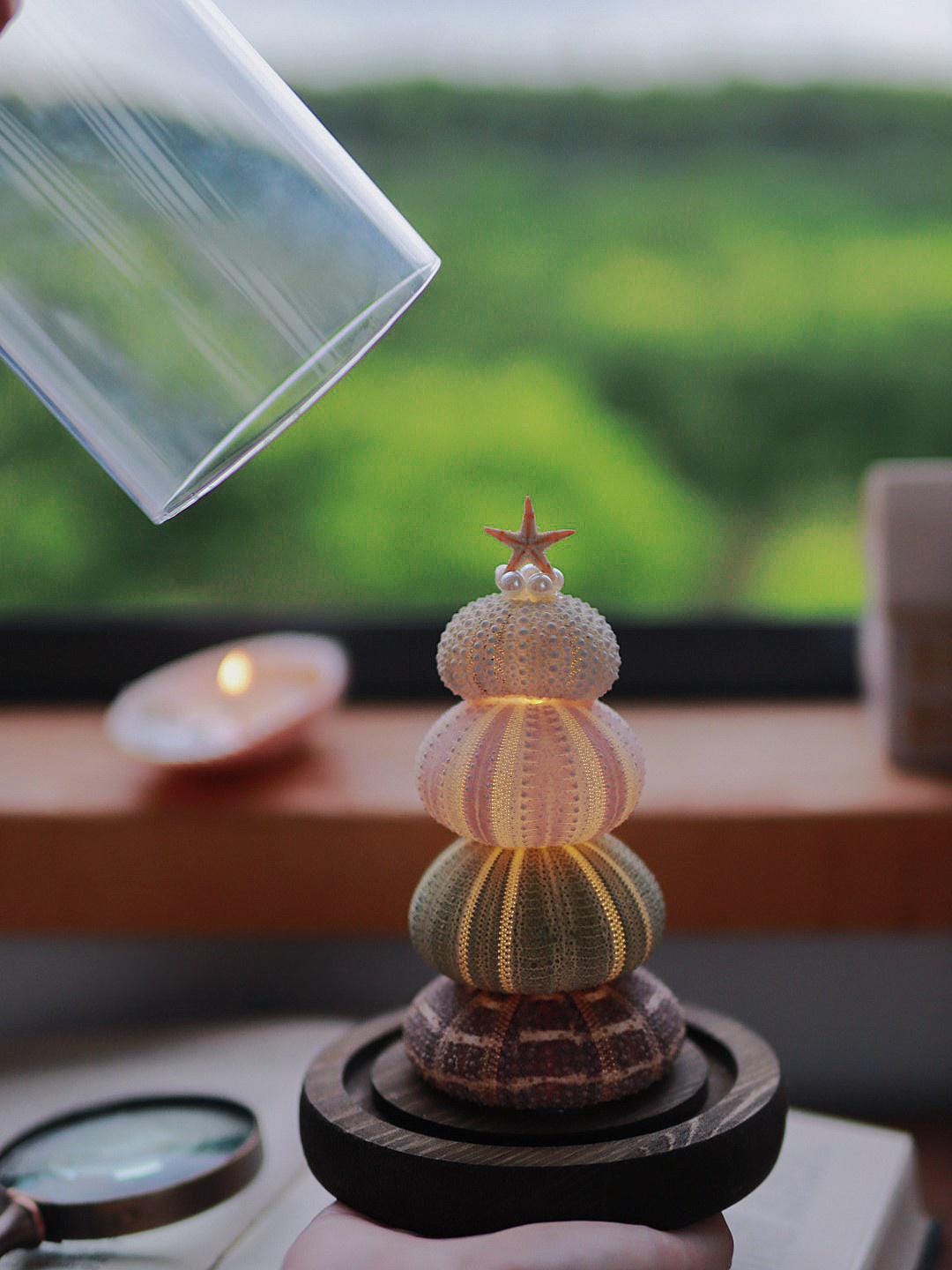 DIY Sea Urchin Lamp Kit Glass Dome Ocean Desk Night Light Gift
