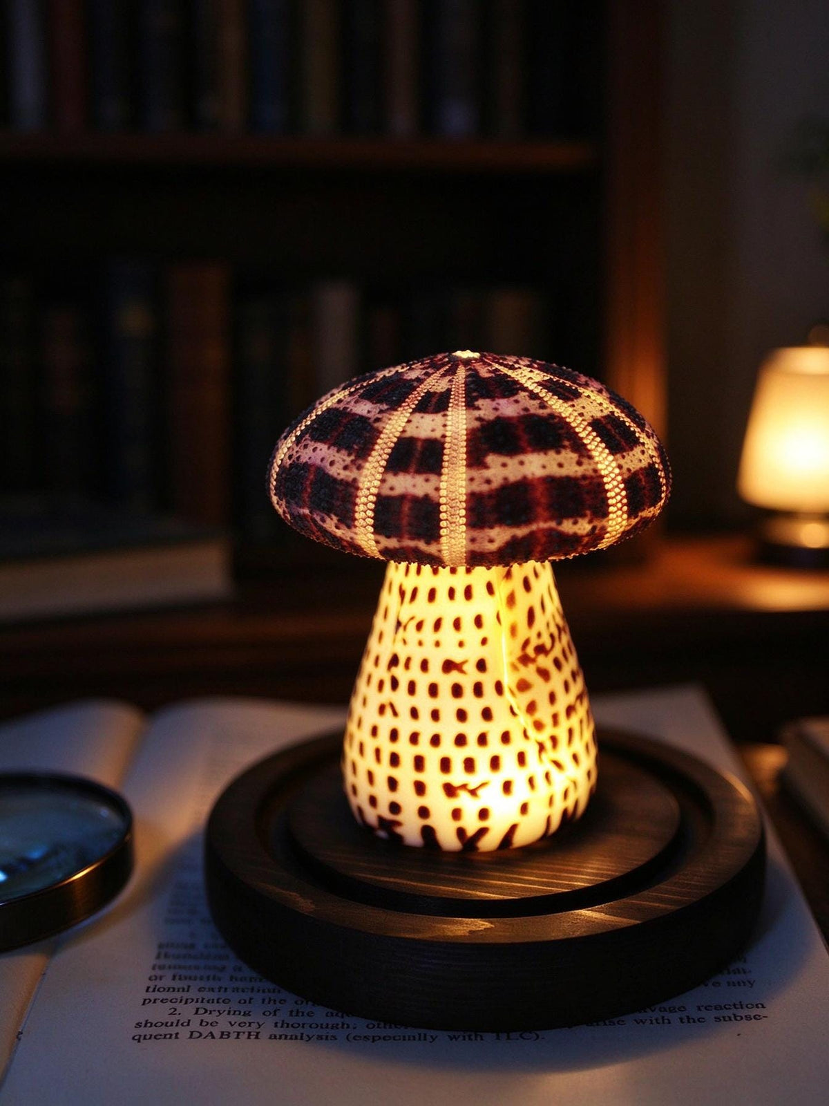 DIY Mushroom Night Light Kit Conch Shell Sea Urchin Desk Lamp Gift