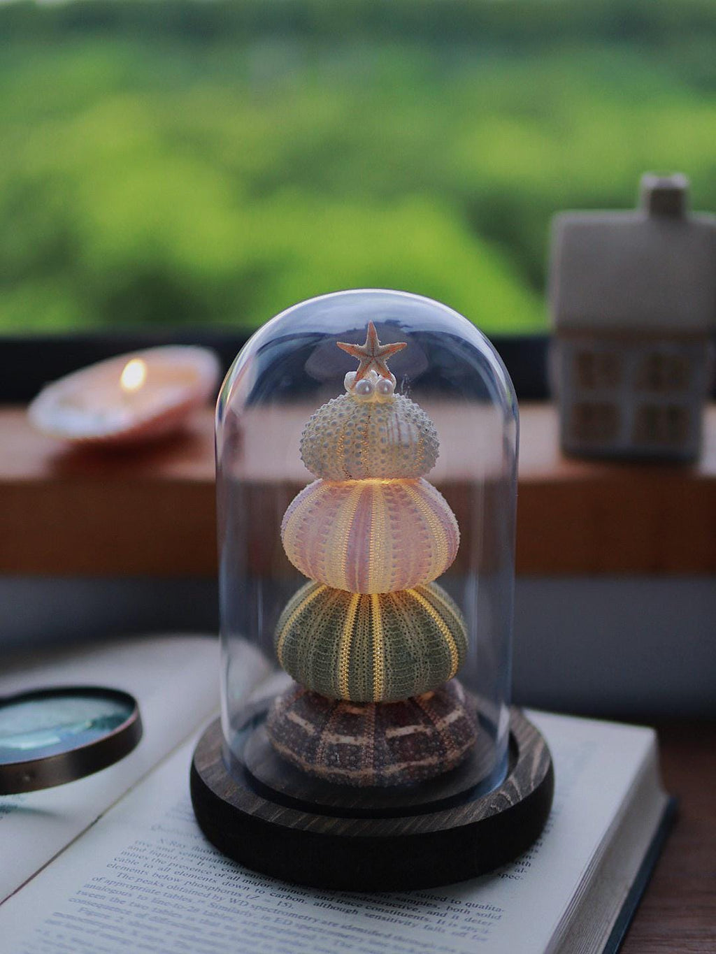 DIY Sea Urchin Lamp Kit Glass Dome Ocean Desk Night Light Gift