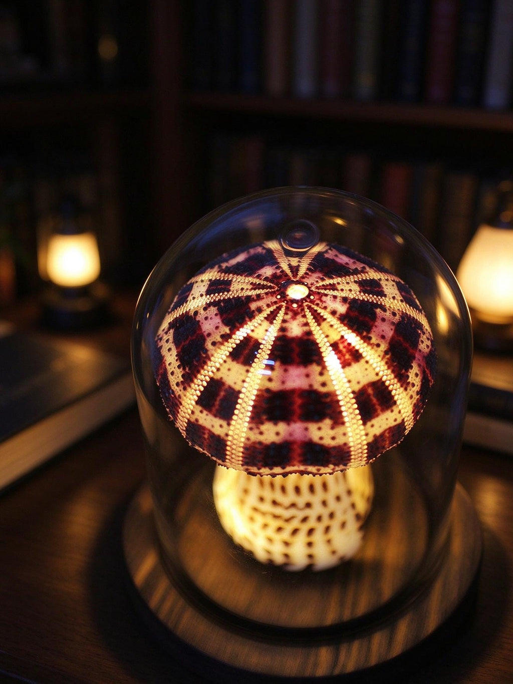 DIY Mushroom Night Light Kit Conch Shell Sea Urchin Desk Lamp Gift