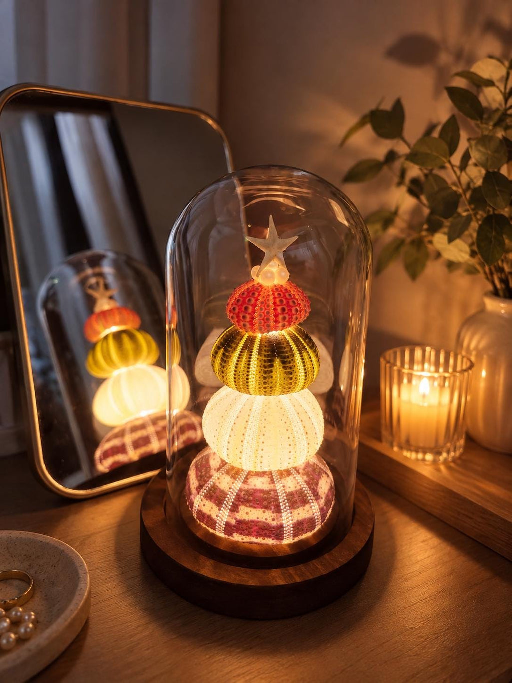 DIY Sea Urchin Lamp Kit Glass Dome Ocean Desk Night Light Gift