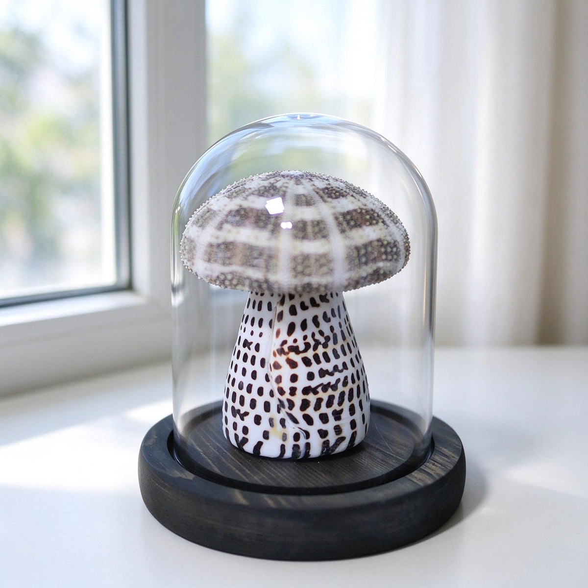 DIY Mushroom Night Light Kit Conch Shell Sea Urchin Desk Lamp Gift