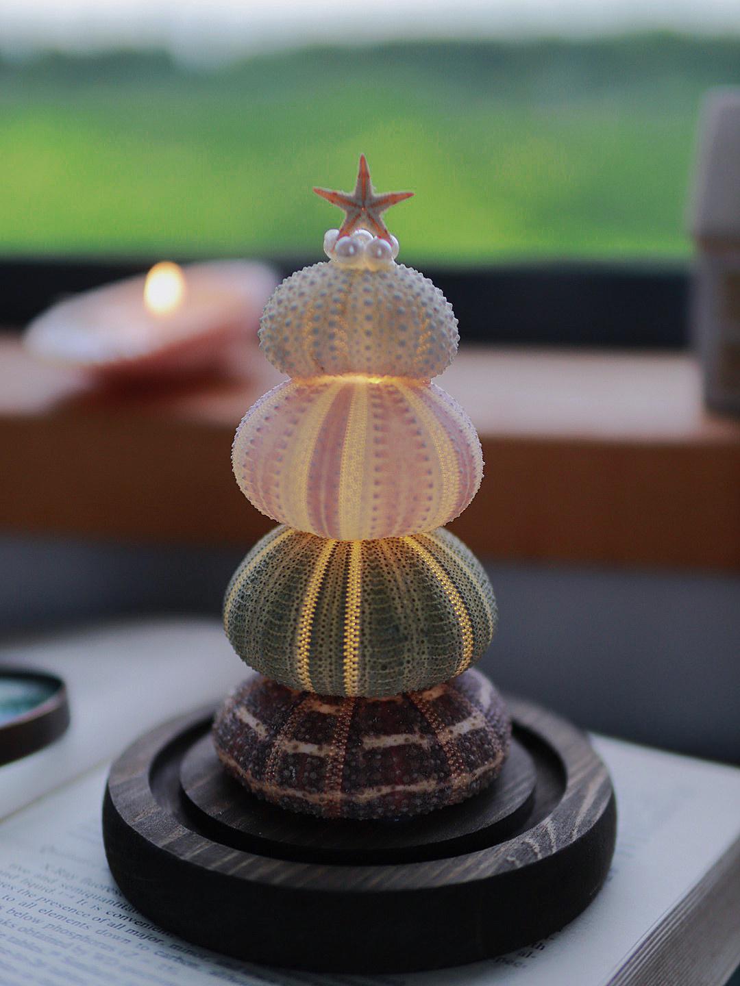 DIY Sea Urchin Lamp Kit Glass Dome Ocean Desk Night Light Gift